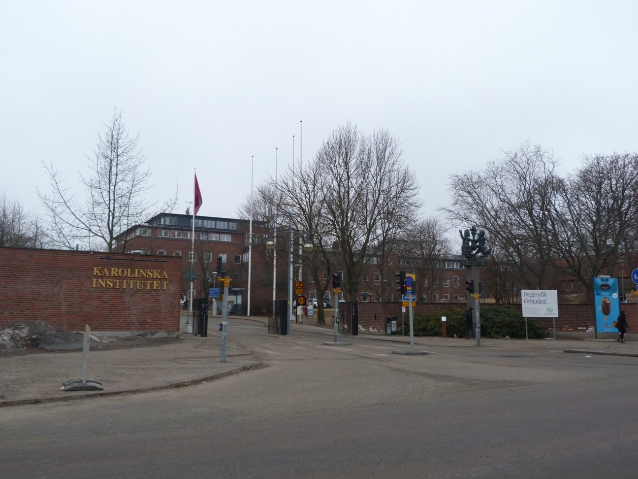 Karolinska%20Institutet%20Solna%20Campus%2C%20Stockholm%20-%2001.JPG